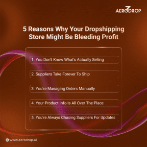 Profitable Office Supplies Dropshipping Niches 2025 5 Reasons Why Your Dropshipping Store Might Be Bleeding Profit