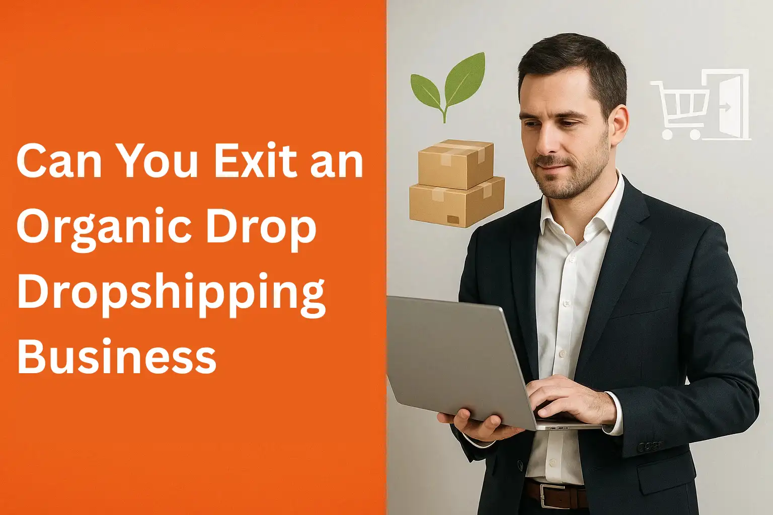 Can You Exit an Organic Drop Dropshipping Business